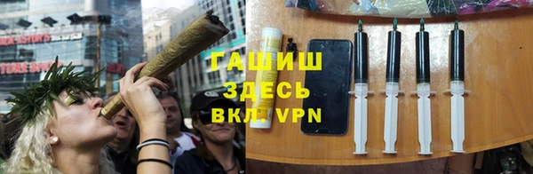 индика Сосновка