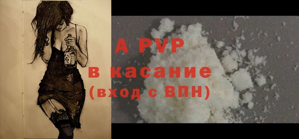 индика Сосновка
