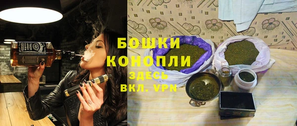 индика Сосновка