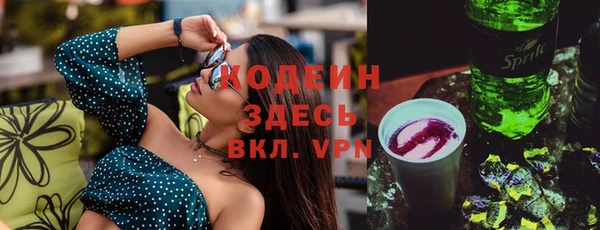 индика Сосновка