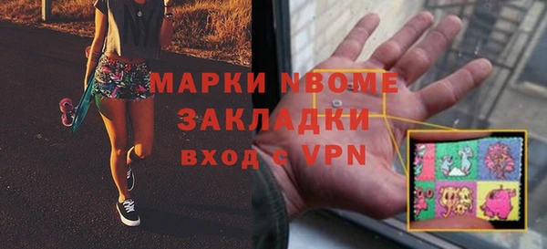 индика Сосновка