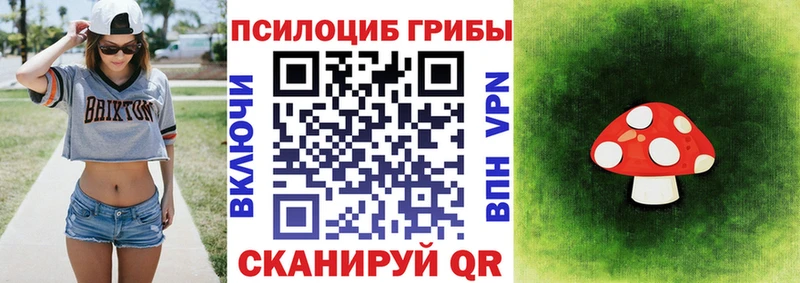Псилоцибиновые грибы GOLDEN TEACHER  купить наркотики цена  Самара 
